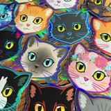 Flame Point Cat - Holographic Sticker