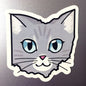 Ohio Cat Sticker - Light Grey Tabby