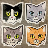 Ohio Cat Sticker - Tuxedo Kitty