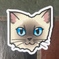 Ohio Cat Sticker - Color Point Kitty